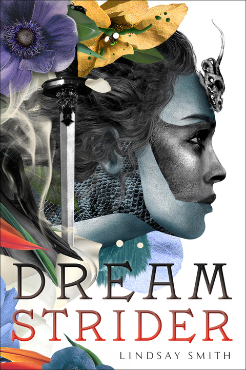 Cover image for book Dreamstrider
