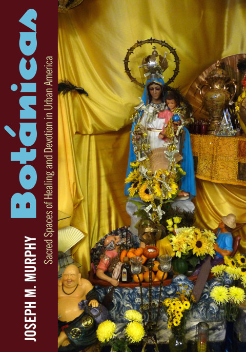 Cover image for book Botánicas