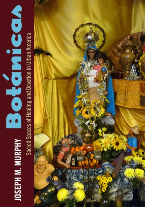 Cover image for book Botánicas