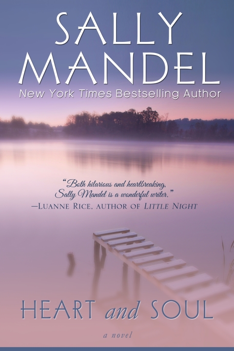 Cover image for book Heart and Soul