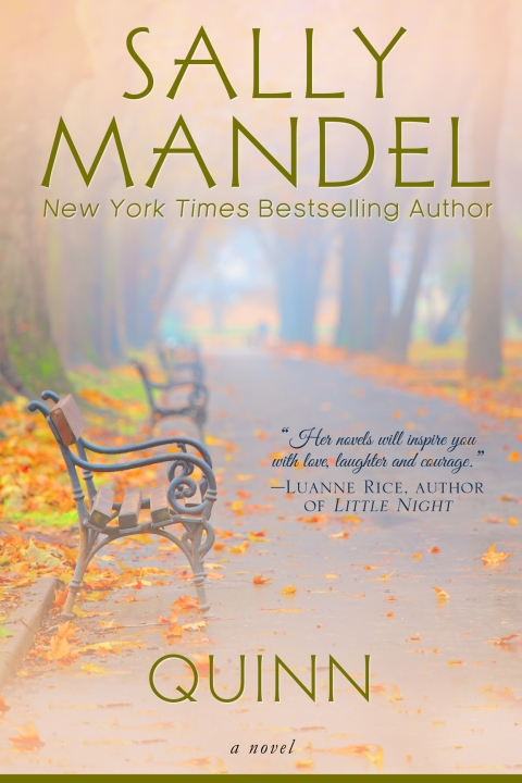 Cover image for book Quinn