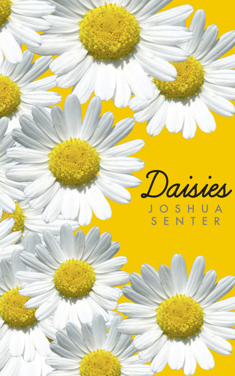 Cover image for book Daisies
