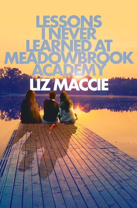 Cover image for book Lessons I Never Learned at Meadowbrook Academy