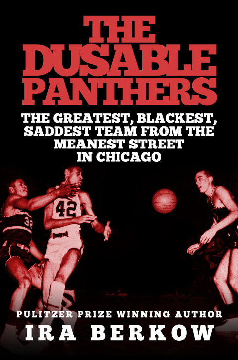 Cover image for book The DuSable Panthers