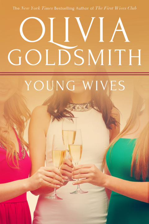 Cover image for book Young Wives
