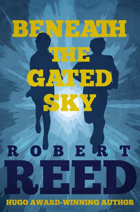 Cover image for book Beneath the Gated Sky