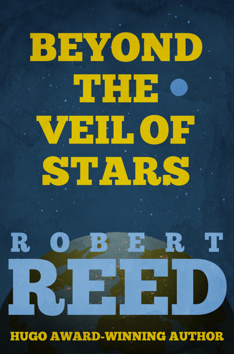 Cover image for book Beyond the Veil of Stars