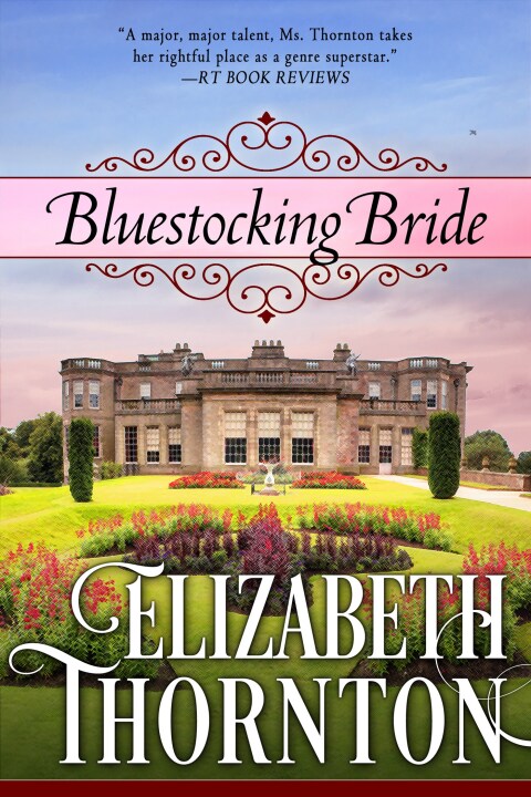 Cover image for book Bluestocking Bride