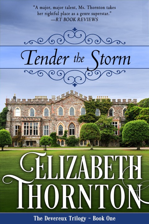 Cover image for book Tender the Storm