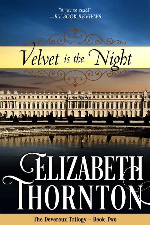 Cover image for book Velvet is the Night
