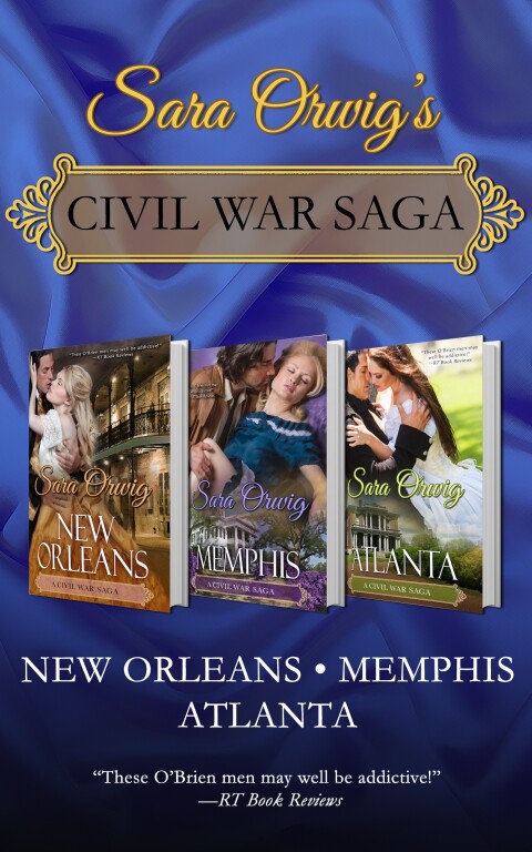 Cover image for book Civil War Saga