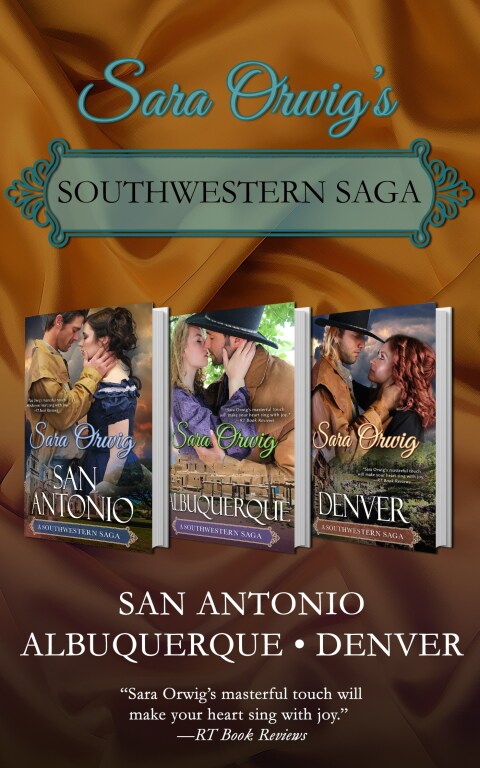 Cover image for book Southwestern Saga