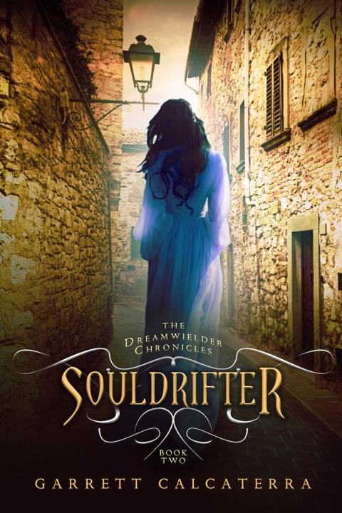 Cover image for book Souldrifter