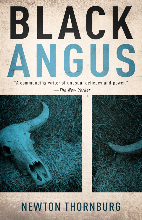 Cover image for book Black Angus