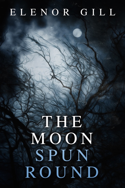 Cover image for book The Moon Spun Round