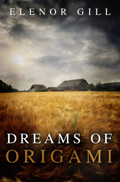 Cover image for book Dreams of Origami