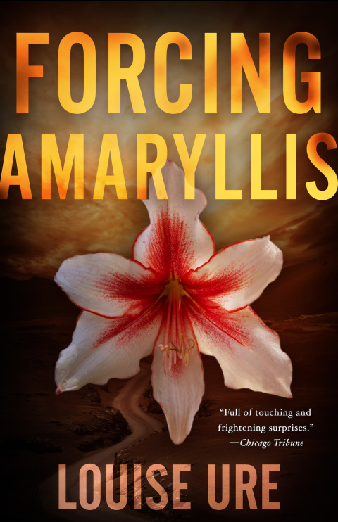 Cover image for book Forcing Amaryllis