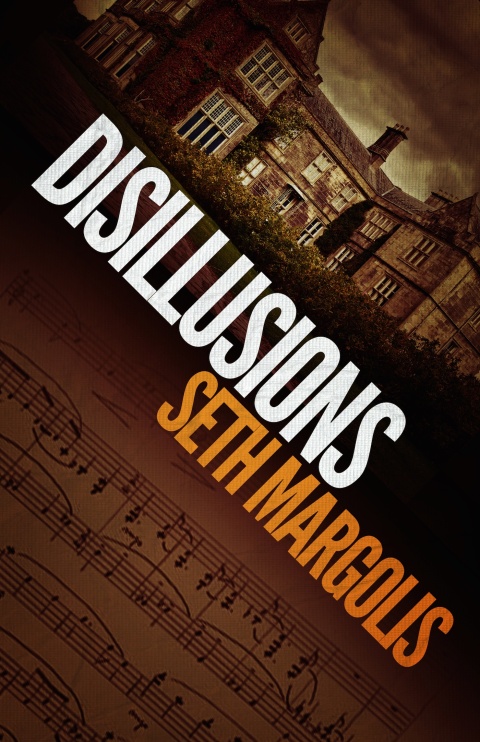 Cover image for book Disillusions