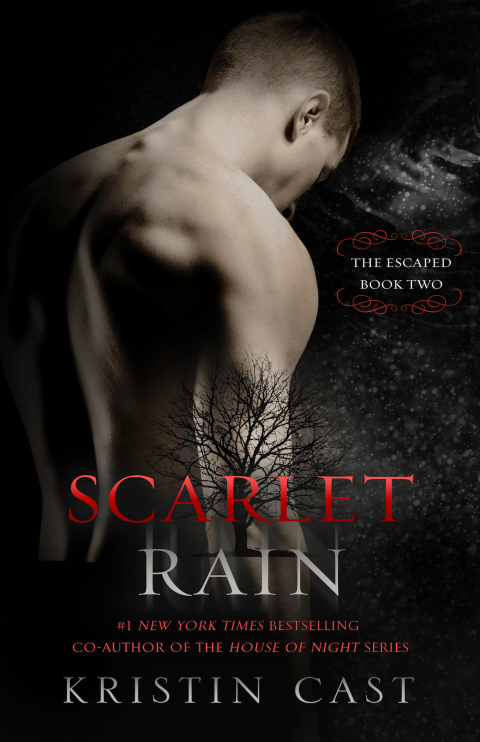 Cover image for book Scarlet Rain