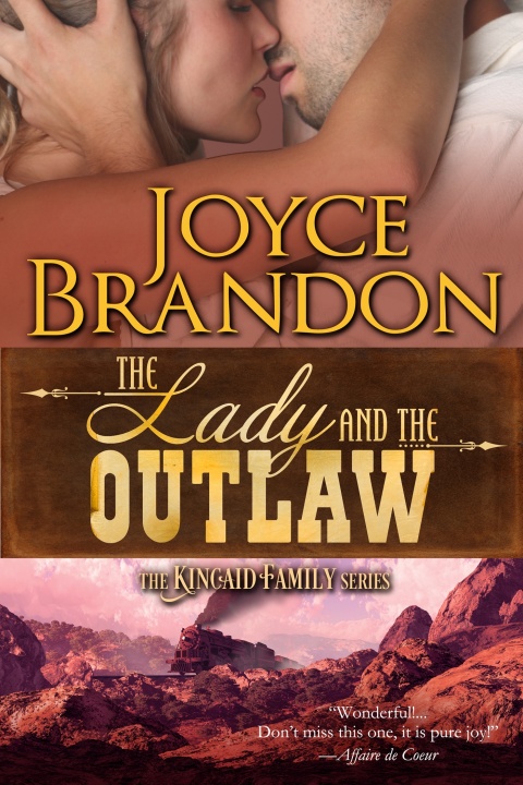 Cover image for book The Lady and the Outlaw