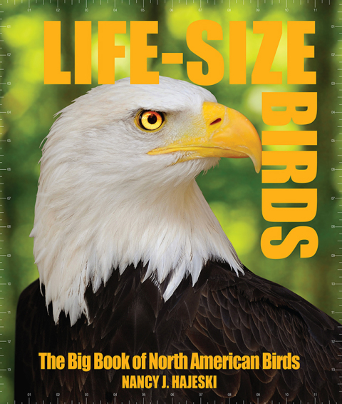 Cover image for book Life-Size Birds
