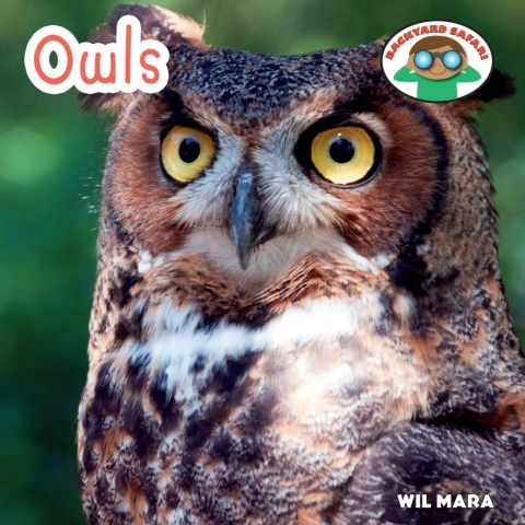 Cover image for book Owls
