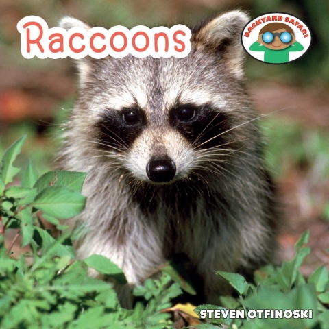 Cover image for book Raccoons