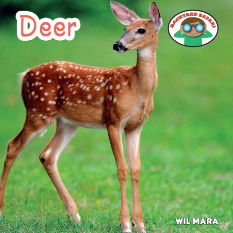 Cover image for book Deer