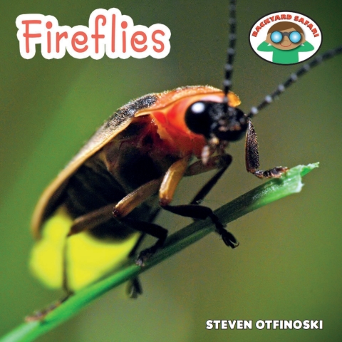 Cover image for book Fireflies