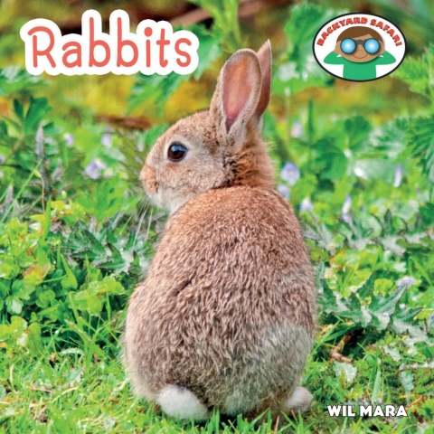 Cover image for book Rabbits
