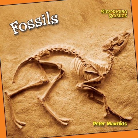 Cover image for book Fossils
