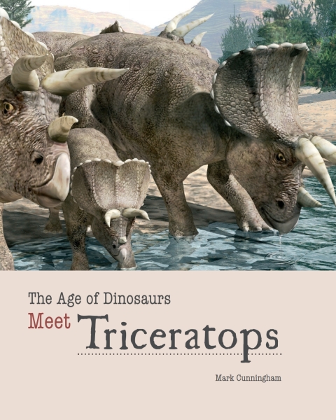 Cover image for book Meet Triceratops