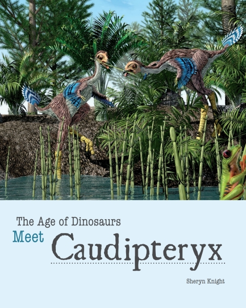 Cover image for book Meet Caudipteryx