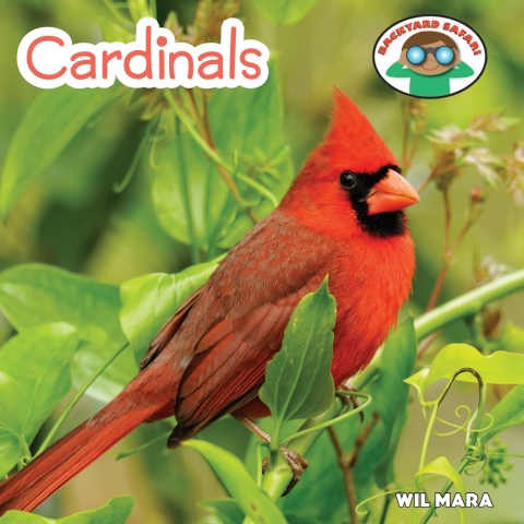 Cover image for book Cardinals