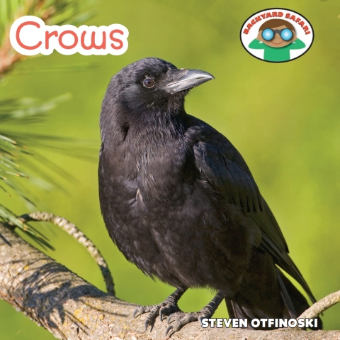 Cover image for book Crows