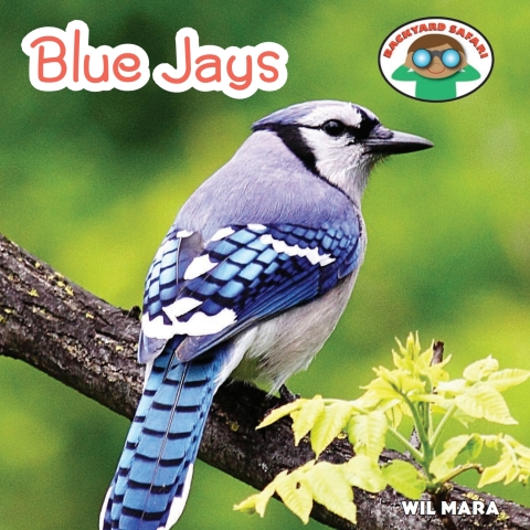 Cover image for book Blue Jays