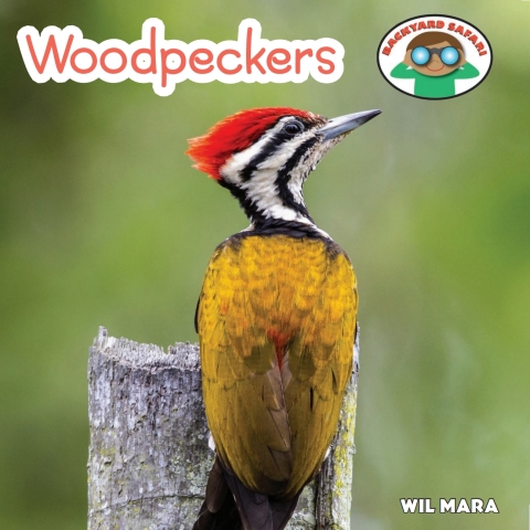 Cover image for book Woodpeckers