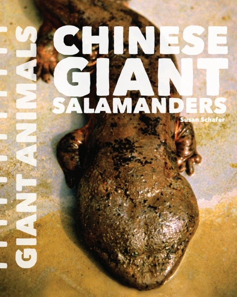 Cover image for book Chinese Giant Salamanders