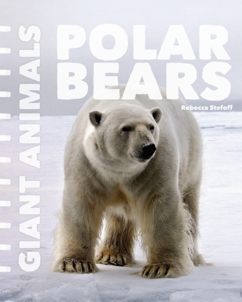 Cover image for book Polar Bears