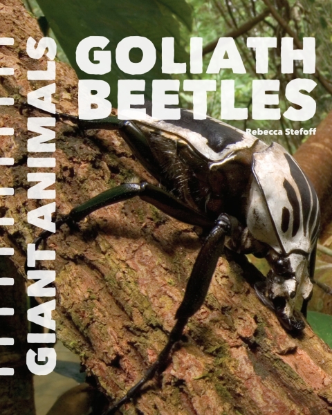 Cover image for book Goliath Beetles