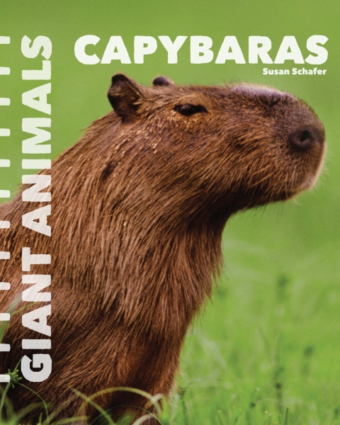 Cover image for book Capybaras