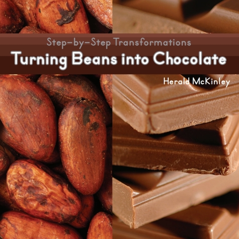 Cover image for book Turning Beans into Chocolate