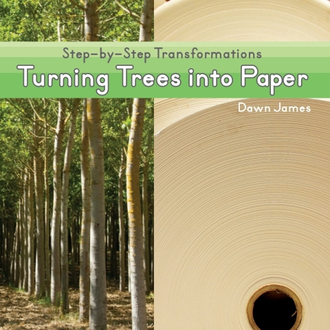 Cover image for book Turning Trees into Paper