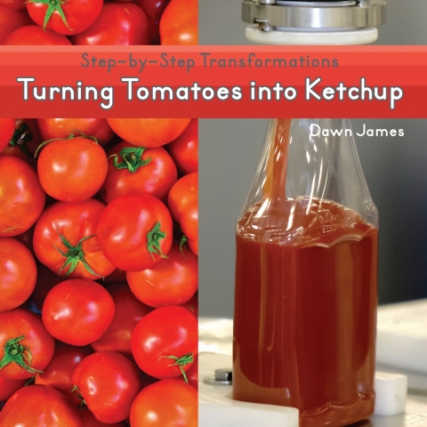 Cover image for book Turning Tomatoes into Ketchup