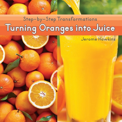 Cover image for book Turning Oranges into Juice