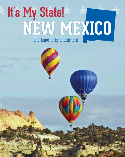Cover image for book New Mexico
