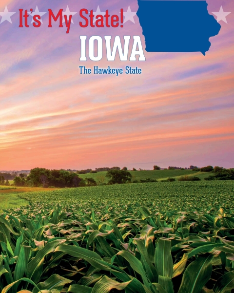 Cover image for book Iowa