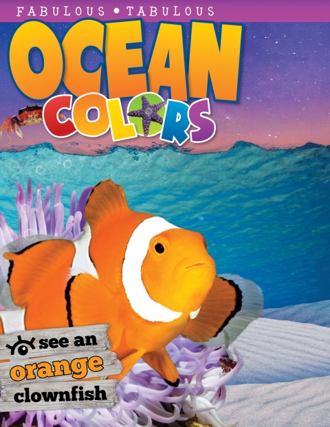 Cover image for book Ocean Colors