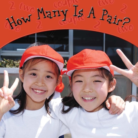 Cover image for book How Many Is A Pair?