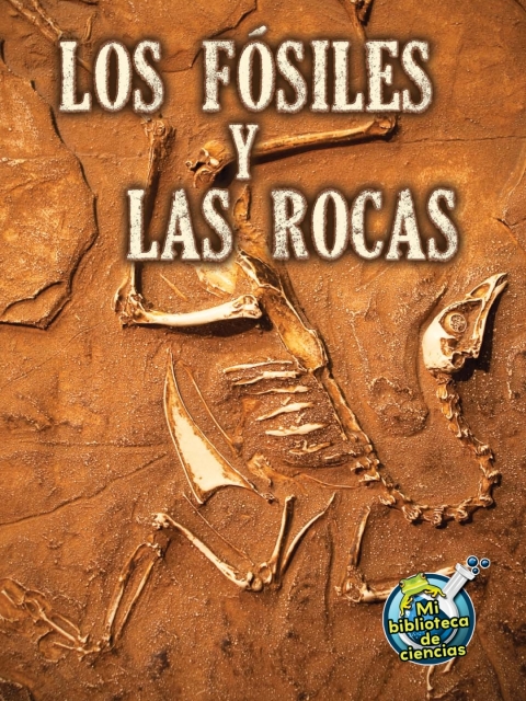 Los fósiles y las rocas
